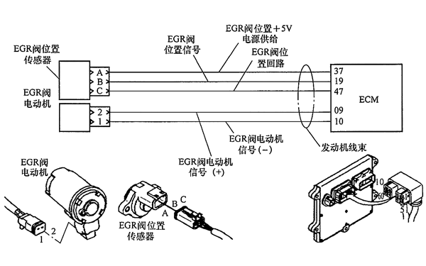 发电机EGR阀位置传感器电路.png